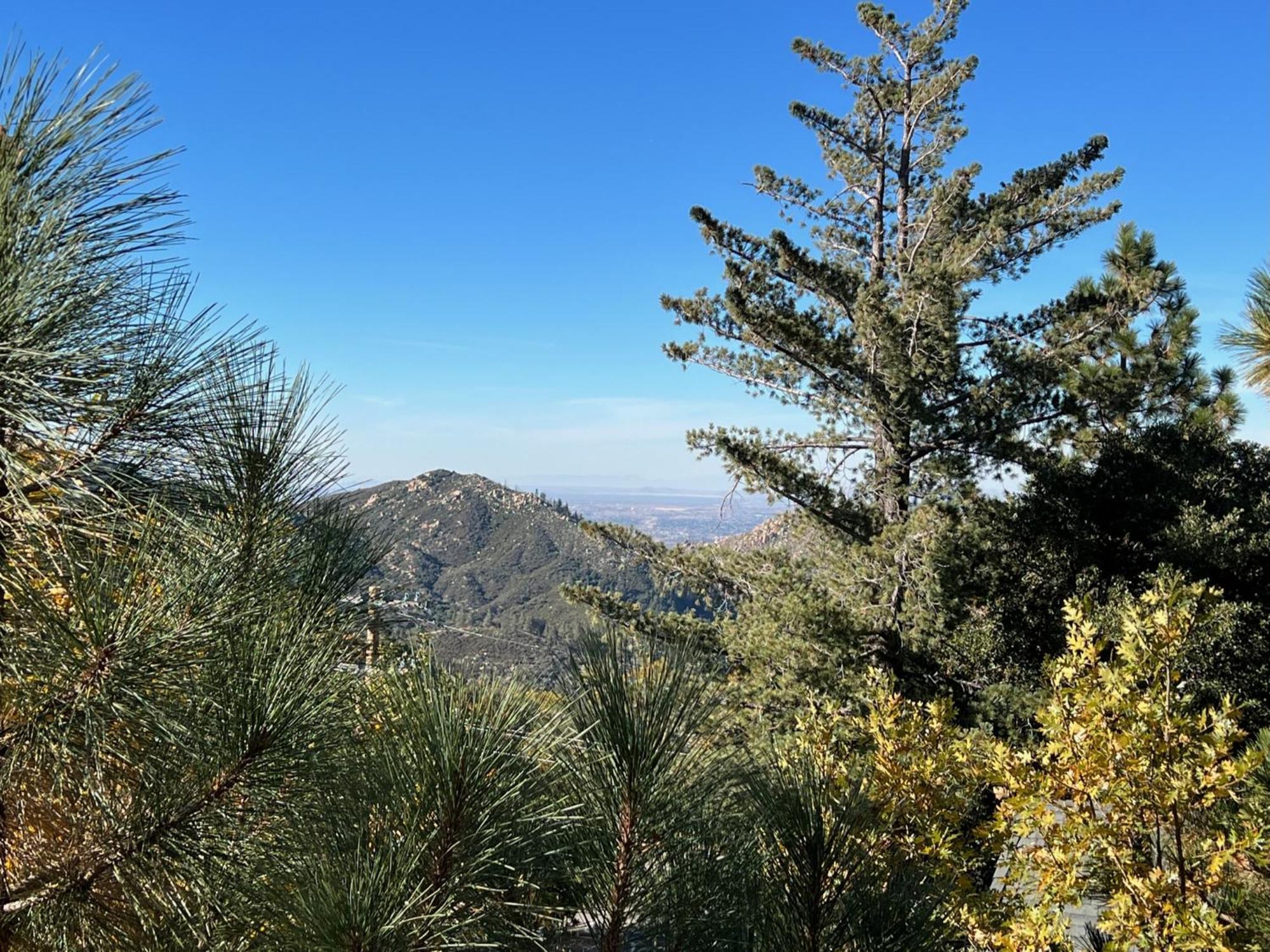 Ev Level 2, Pets Welcome At Sunset Ridge Lake Arrowhead Luaran gambar